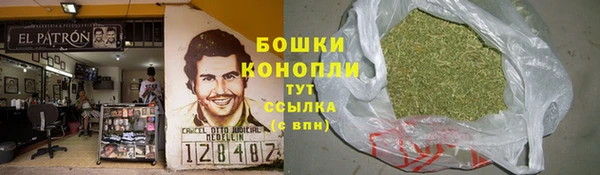 каннабис Тайга