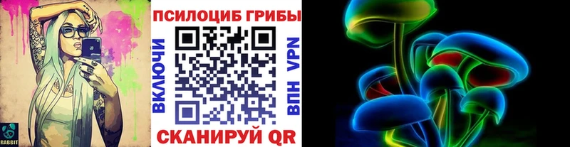 сколько стоит  Любим  Галлюциногенные грибы мухоморы 